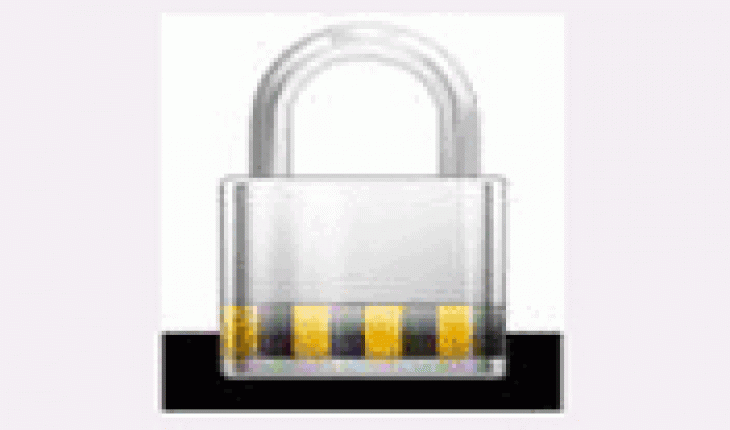 Professional Password Safe
