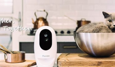 Acer presenta Pawbo+, la fotocamera wireless che permette di interagire a distanza con cani e gatti