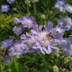 Foto scattata con Nokia 6.1