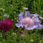 Foto scattata con Nokia 6.1
