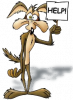wile_e_coyote11.png